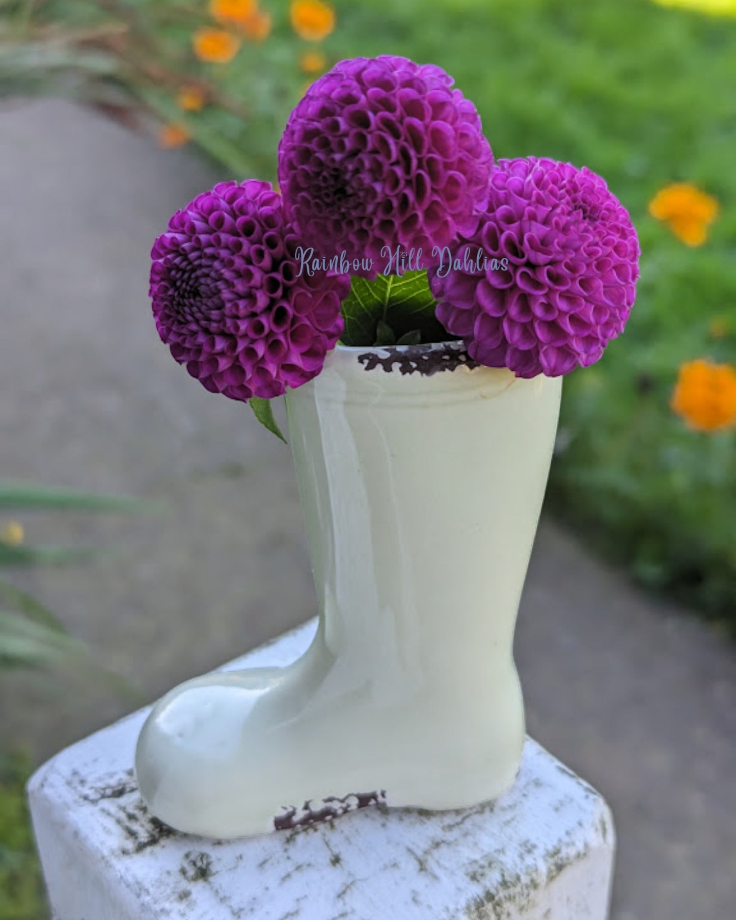 Small Boot Vase